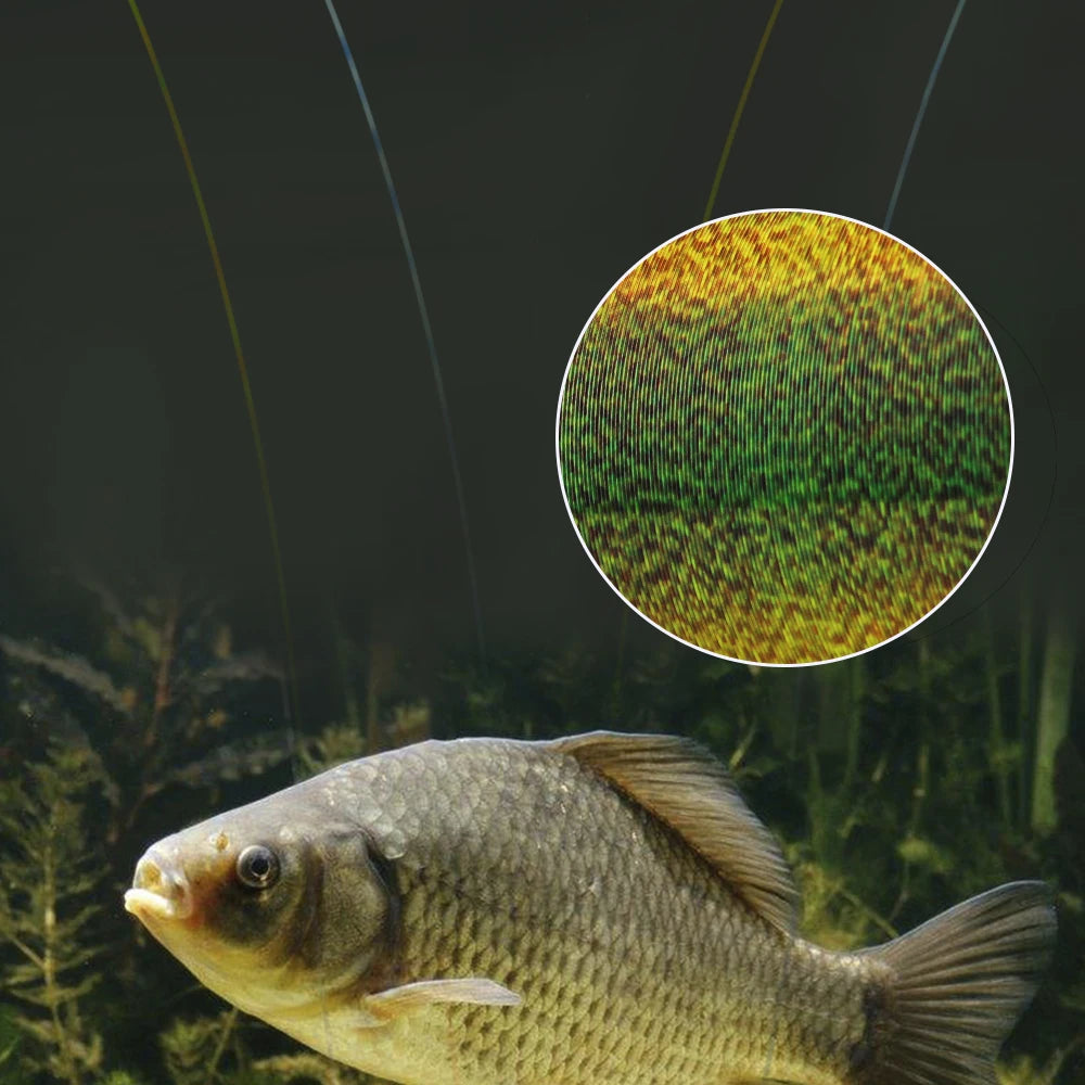 Línea de Pesca Recubierta de Fluorocarbono – 300/500 m
