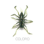 Water Spider – Vinilo Aromatizado 38 mm (12 uds.)