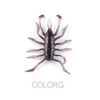 Water Spider – Vinilo Aromatizado 38 mm (12 uds.)