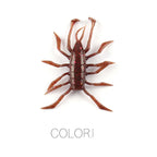 Water Spider – Vinilo Aromatizado 38 mm (12 uds.)
