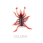 Water Spider – Vinilo Aromatizado 38 mm (12 uds.)